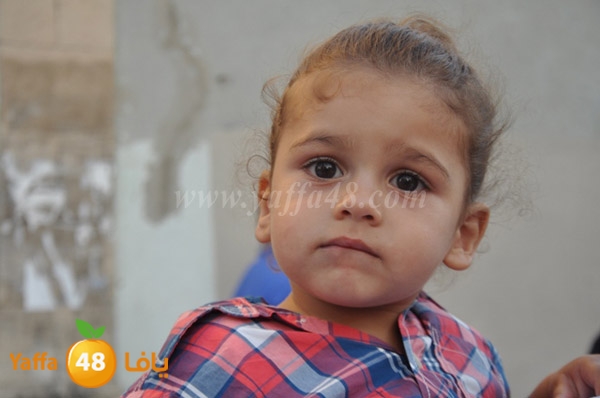 iste3rad 3eed kashaf3 (222).JPG